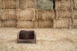 Caballito Piccolo - Suede and Sheepskin