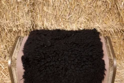 Caballito Piccolo - Suede and Sheepskin