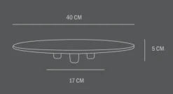 Ceramic Tray - Duck Series