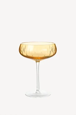 Crystal Champagne Coupe