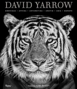 David Yarrow Photography - Americas, Africa, Antarctica, Arctic, Asia, Europe