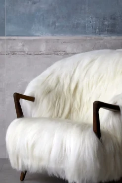 Fluffy Chair