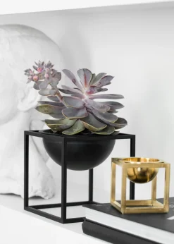 Kubus Bowl - Centerpiece, Large