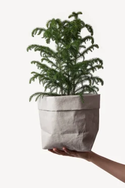 Uashmama - Large Washable Paper Bag - All Colors